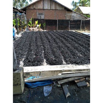 Briket Tempurung Kelapa