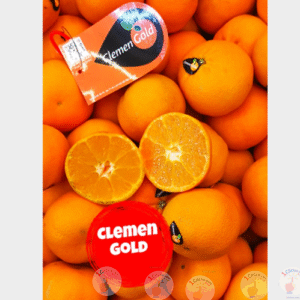 Jeruk Kecil Clemengold Dominan Manis Segar Banyak Air - 1kg