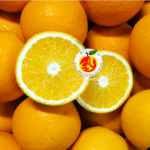 Sunkiest Valencia Manis Segar Bukan Navel Ya Mesir Afrika Australia - Valencia