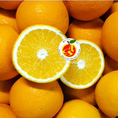 Sunkiest Valencia Manis Segar Bukan Navel Ya Mesir Afrika Australia - Valencia Sunkiest Valencia Manis Segar Bukan Navel Ya Mesir Afrika Australia - Valencia