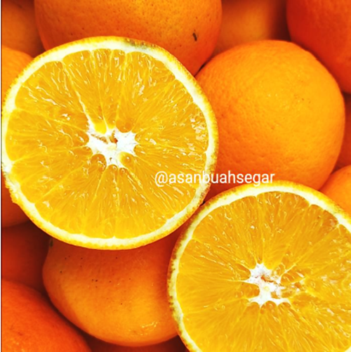 Sunkiest Valencia Manis Segar Bukan Navel Ya Mesir Afrika Australia - Valencia
