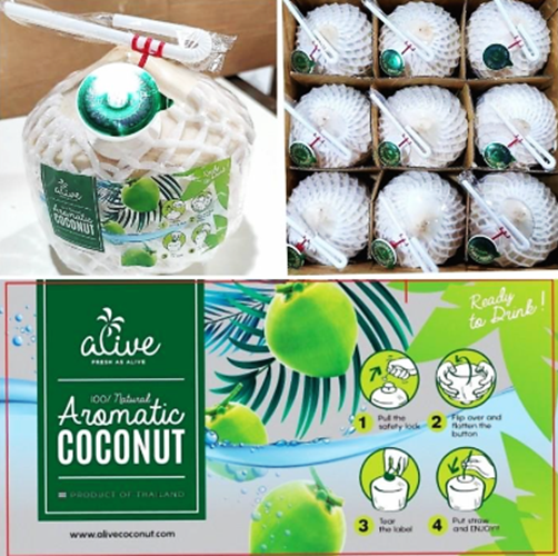 Buah Kelapa Muda Air Manis Pandan Wangi Thailand Bangkok Coco Thai Best Bucket - Cocothumb