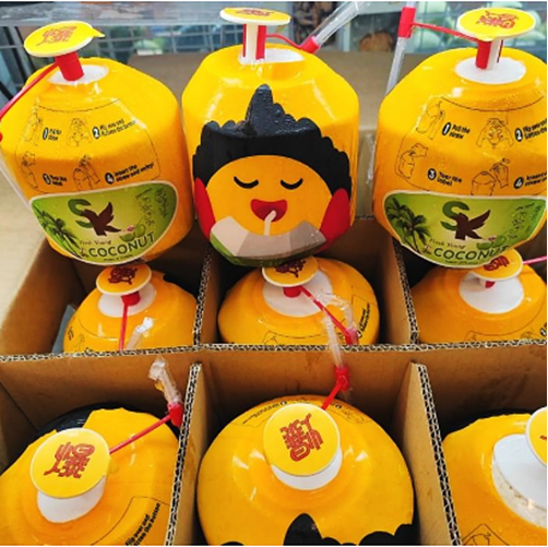 Buah Kelapa Muda Air Manis Pandan Wangi Thailand Bangkok Coco Thai Best Bucket - Cocothumb