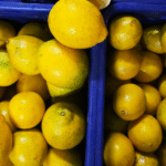 Buah Lemon Lokal Organik Juicy Banyak Air