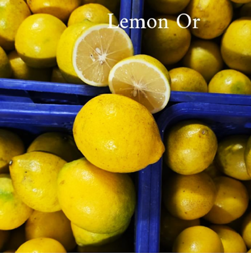 Buah Lemon Lokal Organik Juicy Banyak Air Buah Lemon Lokal Organik Juicy Banyak Air