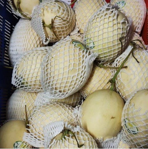 Melon Sweet Honey Orange Jepang Taiwan Manis Manis Poll Melon Sweet Honey Orange Jepang Taiwan Manis Manis Poll