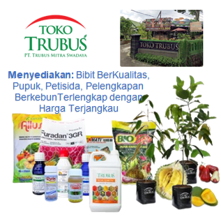 PT. Trubus Mitra Swadaya