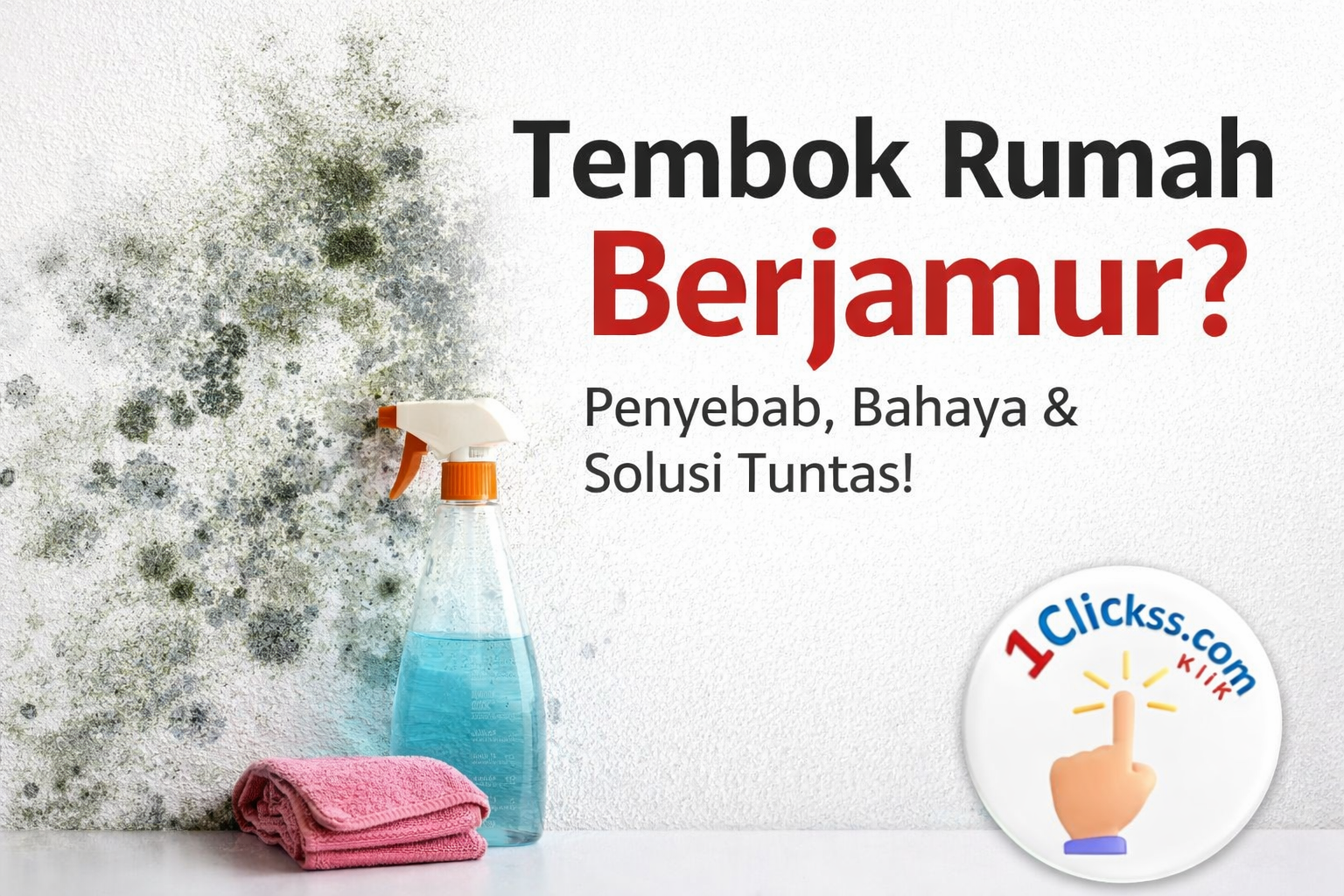 Tembok Berjamur? Ini Penyebab, Bahaya dan Cara Mengatasinya Sampai Tuntas!
