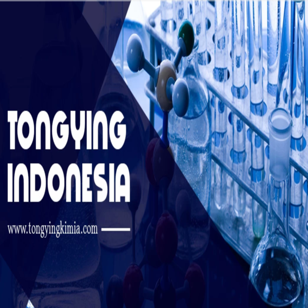 PT TONGYING INDONESIA