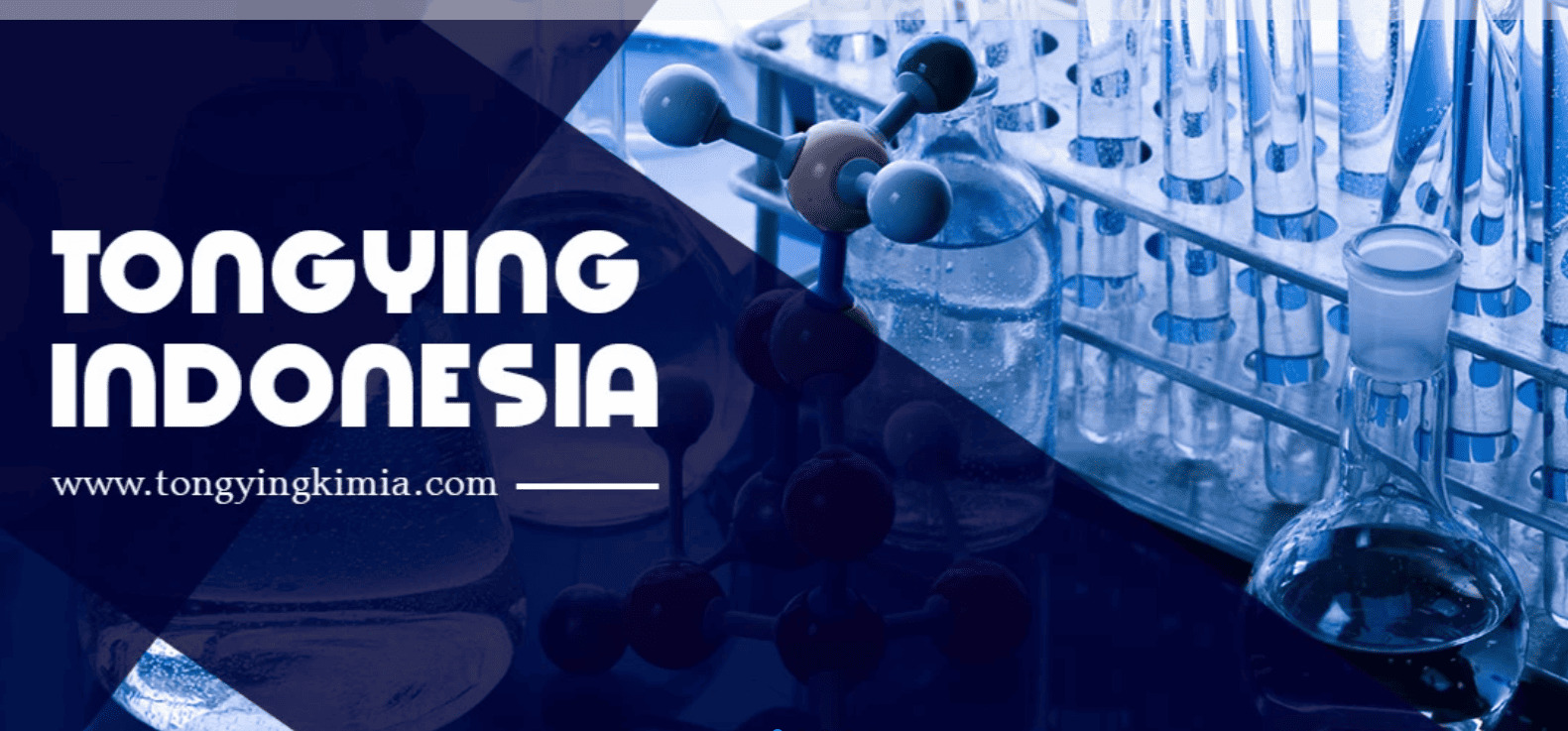 PT TONGYING INDONESIA