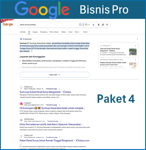 PAKET 4 GOOGLE ADS PRO
