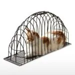 Kandang Besi Grooming Kucing M 57 x 15 x 32 cm KOKOH AWET